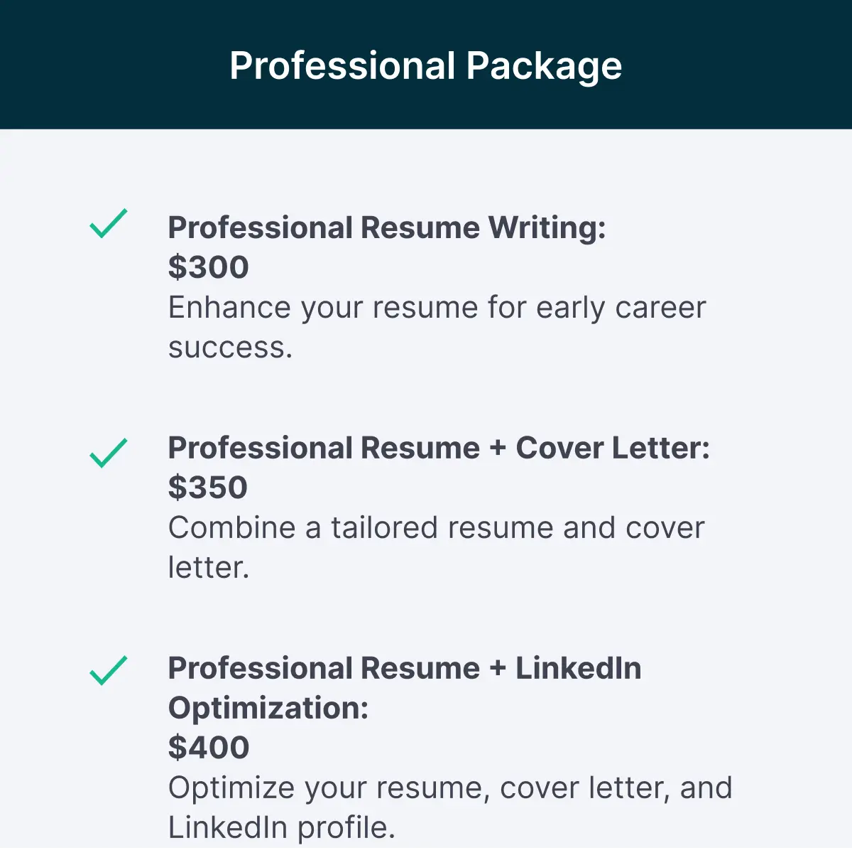 professional resume writing pricing